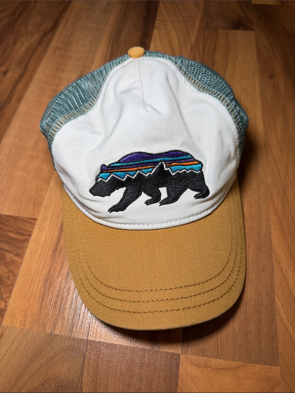 Patagonia Hat / baseball cap